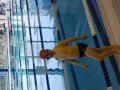 DSC03495.JPG